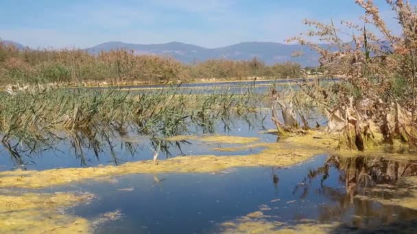 Swamp lake with ruins and mountain — Stock Video