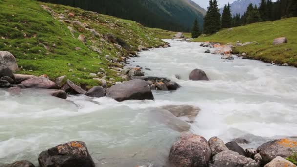 Altyn Arashan valle del río montaña Kirguistán — Vídeo de stock