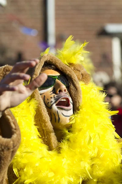 OLDENZAAL, PAESI BASSI - 6 MARZO 2011: persone in abiti da carnevale colorati durante la sfilata annuale di carnevale a Oldenzaal, Paesi Bassi . — Foto Stock