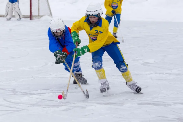 RUSSIA, KOROLEV - JANUARY 15, 2015: 3-d stage childrens hockey League bandy, Russia. — Zdjęcie stockowe