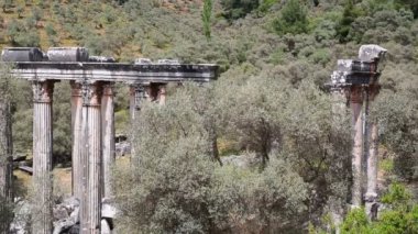 Zeus Tapınağı Lepsinos, Euromus, Euromos, Milas