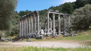 Zeus Tapınağı Lepsinos, Euromus, Euromos, Milas