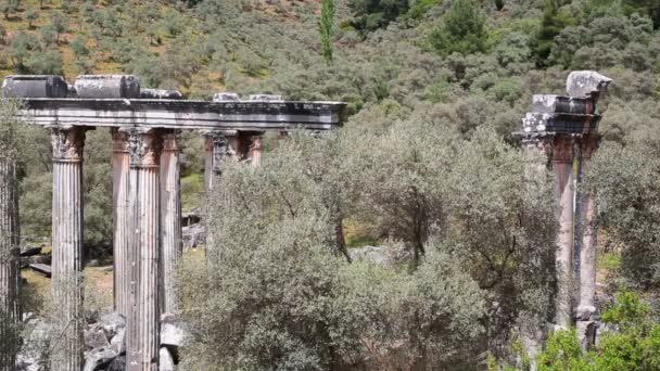 Templo de Zeus Lepsinos, Euromus, Euromos, Milas — Vídeo de stock