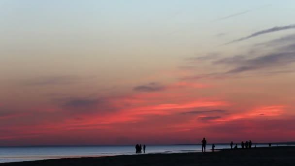 Gente caminando en la playa del mar — Vídeos de Stock