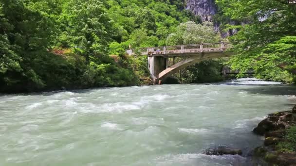 Eau courante à la rivière de montagne — Video