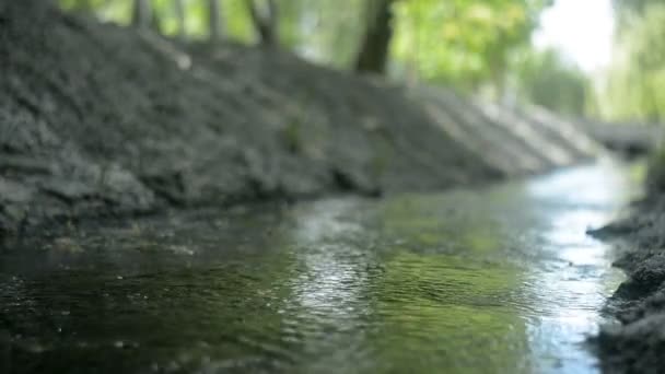 Вода течёт в маленькую реку — стоковое видео