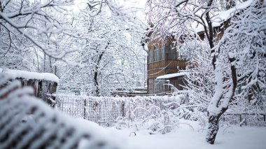 Kışın ağaç dallarında buz