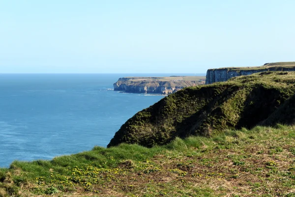 Doğu Yorkshire kıyı şeridi