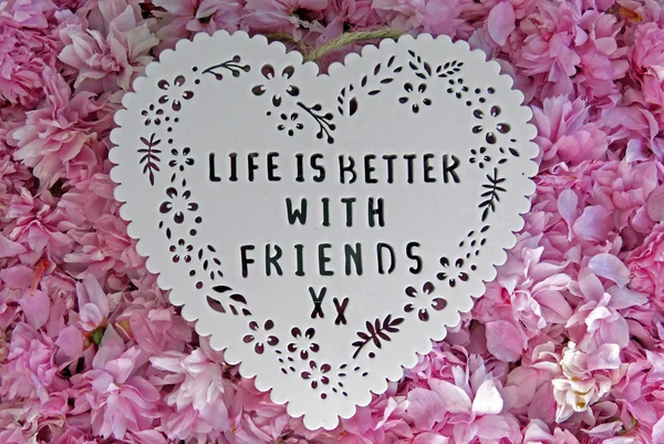 Kalpleri ve çiçeği