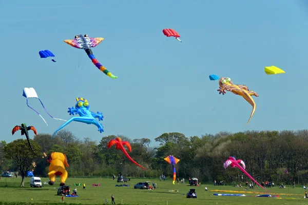 Kite Festival — Stock fotografie