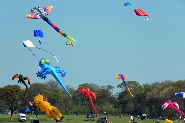 Kite Festival — Stock fotografie