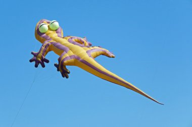 Bir uçurtma festivali