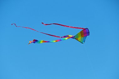 Bir uçurtma festivali