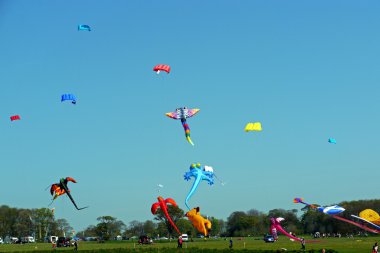 Bir uçurtma festivali