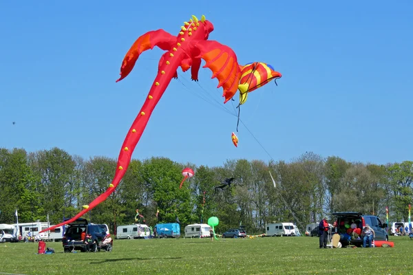 Kite Festival — Stock fotografie