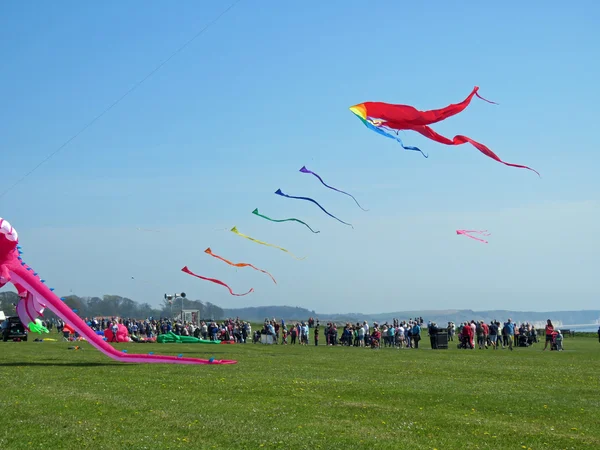 Kite Festival — Stock fotografie