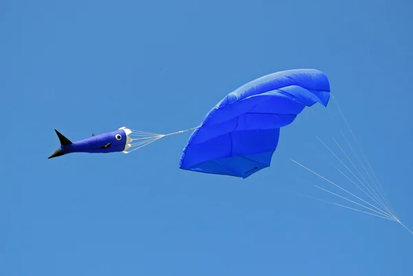 Un festival de cerf-volant — Photo