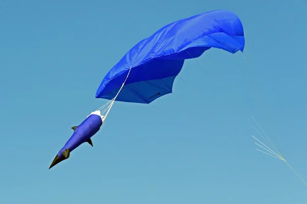 Um Kite Festival — Fotografia de Stock