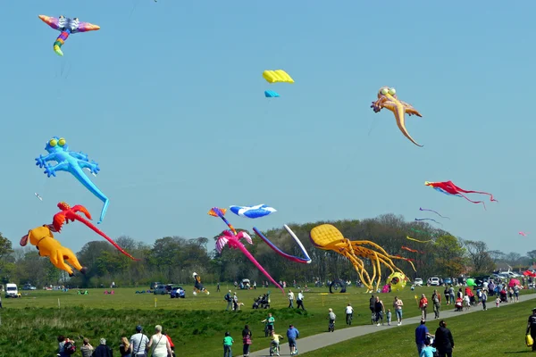 Kite Festival — Stock fotografie