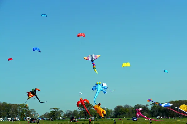 A Kite Festival — Stock Photo, Image
