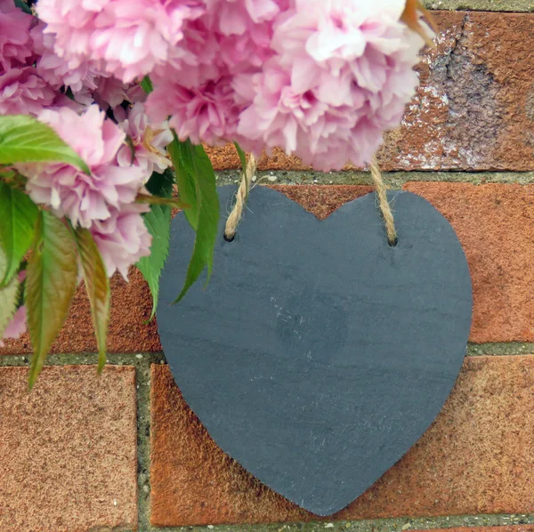 Siyah arduvaz kalp ve pembe çiçeği