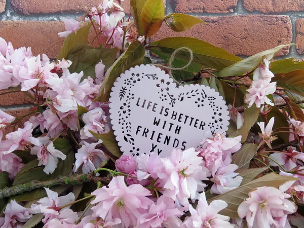 İle daha iyi arkadaş hayattır