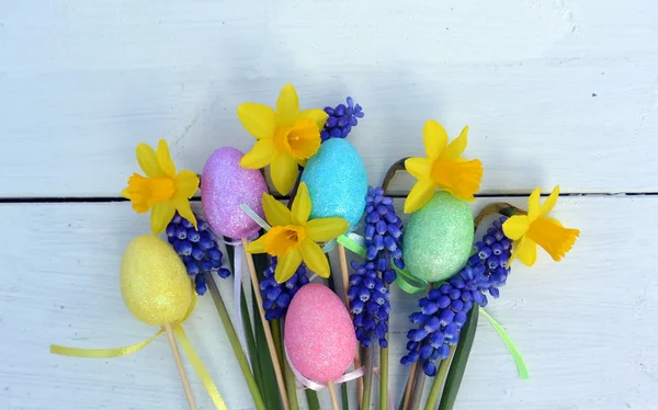 Húsvéti virágok — Stock Fotó