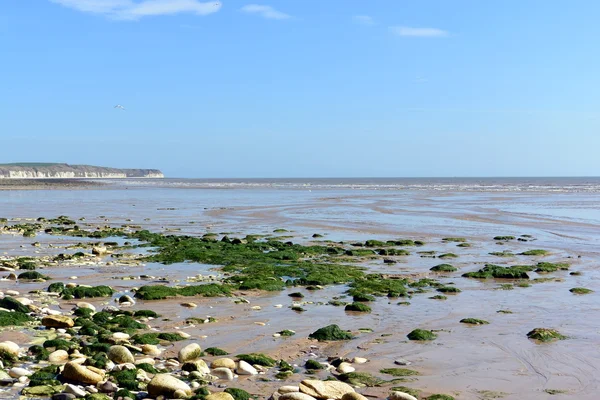 Bay of Bridlington — Stock Photo, Image