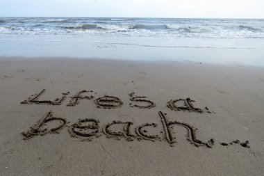 Can kuma yazılı bir plaj