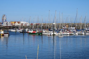 Yaz Scarborough Harbour