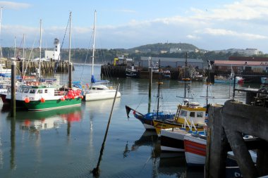 Yaz Scarborough Harbour