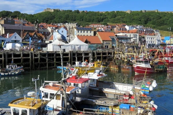 Été dans le port de Scarborough — Photo