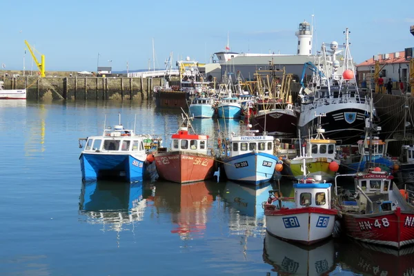 Verão em Scarborough Harbour — Fotografia de Stock