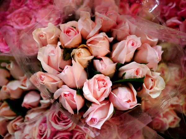 用塑料包裹着一束芬芳的粉红色玫瑰 — 图库照片