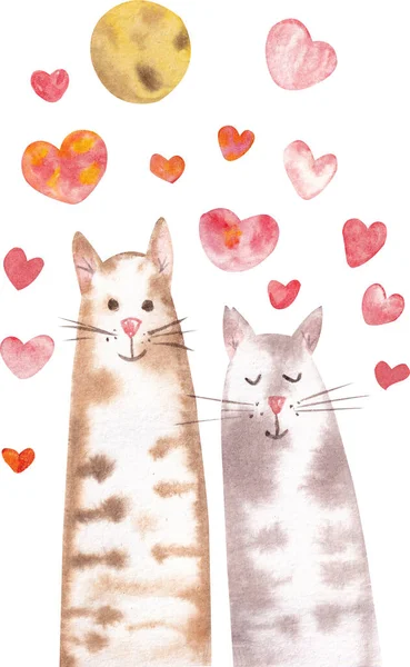 Akvarell Illusztráció Ábrázoló Egy Pár Macska Szerelmes Kép Alkalmas Képeslapokra — Stock Fotó