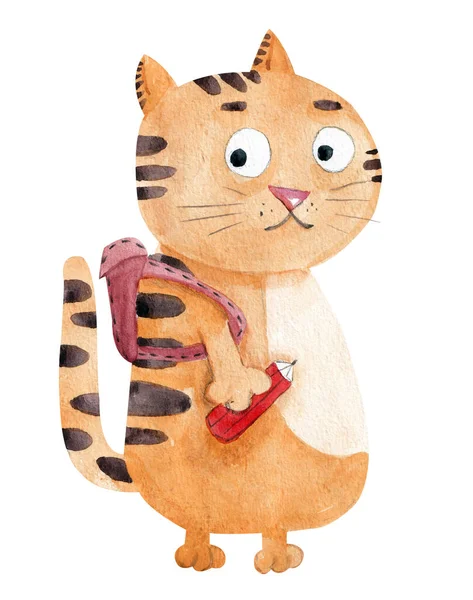줄무늬가 고양이의 귀여운 학교에 손으로 호랑이 새끼의 연필이 — 스톡 사진