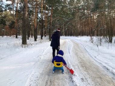 Ormanda güneşli bir kış gününde kızaklı bir baba.
