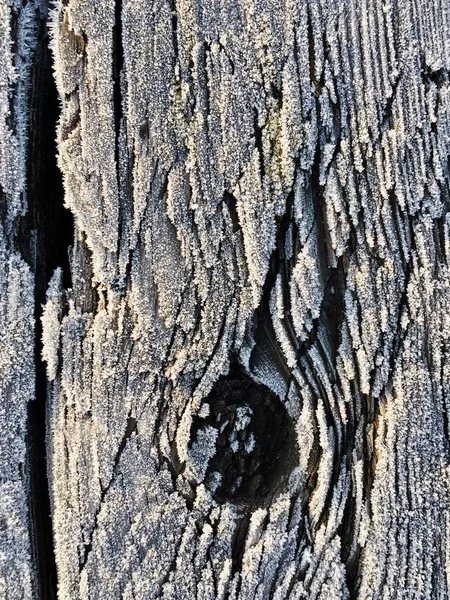 Frozen Closeup Macro View Hoarfrost Wooden Surface — Stock Photo, Image