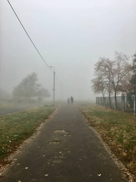 Foggy Outono Parque Beco Com Duas Pessoas Andando — Fotografia de Stock