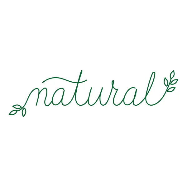 Handgetekende belettering Natural Product. Logo ontwerp template — Stockvector