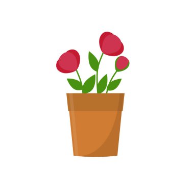 Çömlekteki renkli çiçekler beyaz arkaplanda izole edilmiş.