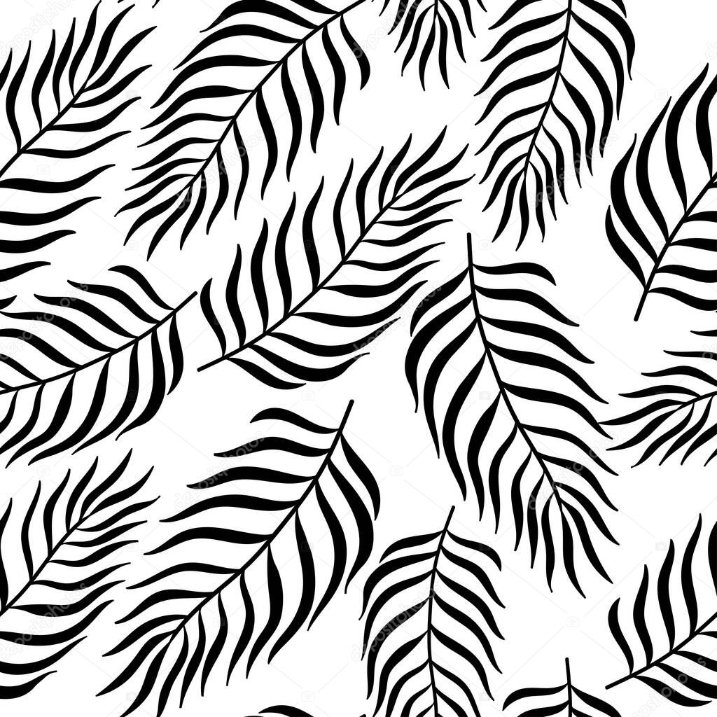 Tropical palm leaves seamless pattern. Black plants on white background