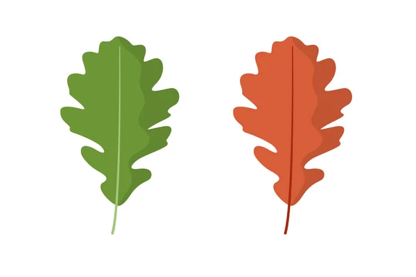 Hoja de roble. Verde primavera y naranja otoño. Ilustración vectorial aislada sobre fondo blanco — Vector de stock