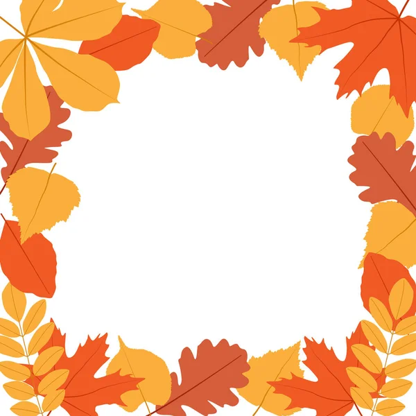 Frame van herfstbladeren. Vector illustratie, geïsoleerd op wit, voor natuur, eco en herfst ontwerp — Stockvector
