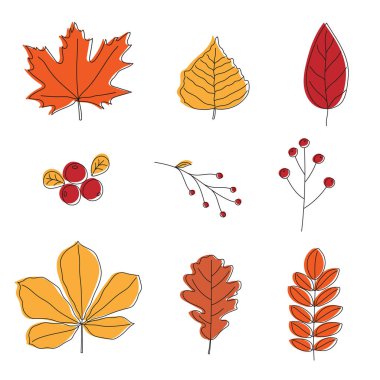 Renkli sonbahar yaprakları. Çizgi tasarımı. Doodle tarzı. 