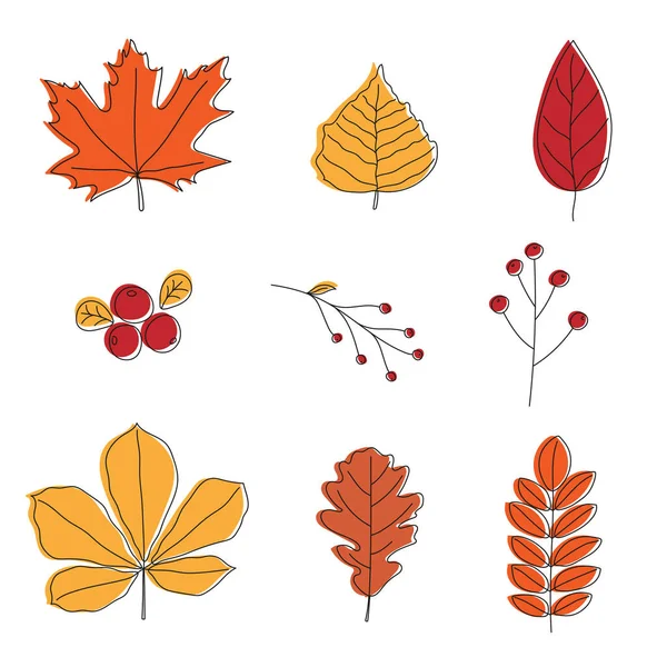 Ensemble de feuilles d'automne colorées. Design d'art linéaire. Style caniche. — Image vectorielle