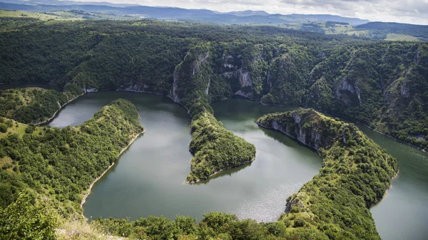 Kıvrımlı Nehri ile harika Kanyon. Özel rezerv Nehri Uvac, Sırbistan