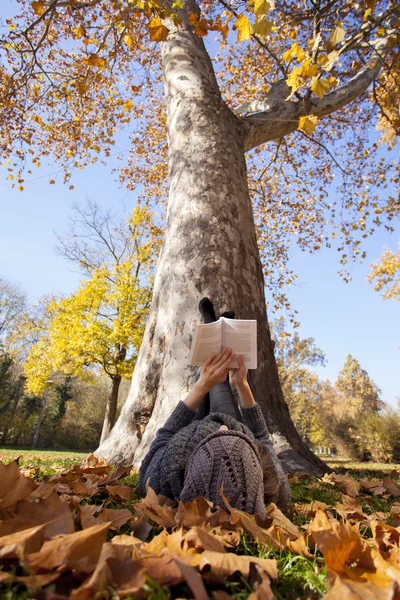 Chica leyendo libro acostado en otoño parque —  Fotos de Stock