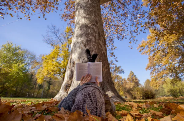 Kız sonbahar parkta yalan kitap okuma — Stok fotoğraf