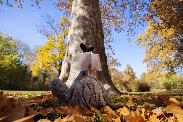 Dziewczyna czytająca książka leżący w parku jesień — Zdjęcie stockowe